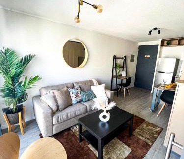 Downtown Santiago Apartment | PAR Apartment New and Bright