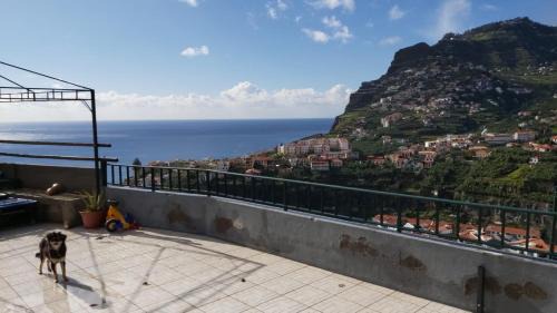 Camara de Lobos House | Paraíso Pico da Torre