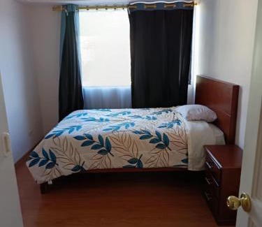 Concepcion Apartment | Parke inglés