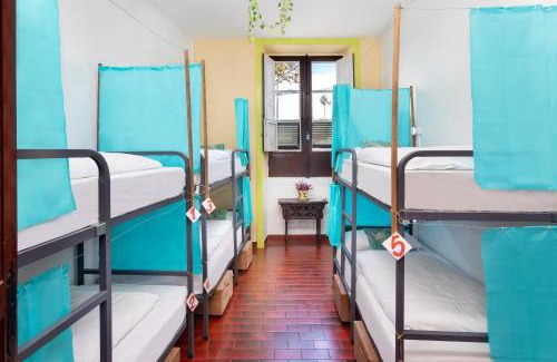 San Cristobal de La Laguna Hostel | Patio Hostel