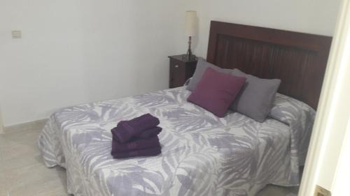 Cordoba Old City Apartment | PATIO POMPEYOS