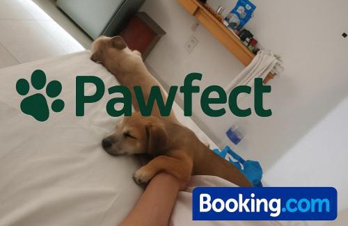 Mang Yang Bed & Breakfast | Pawfect Dining & Stay Pet Friendly Hotel in Da Lat