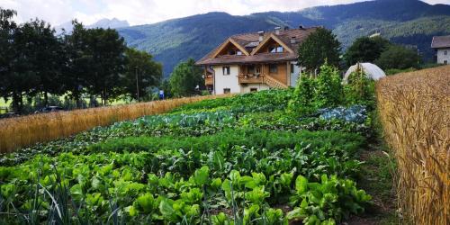 Taisten House | Pension Panorama