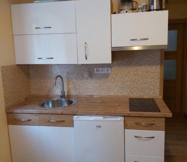 Harrachov House | Pension Rieger
