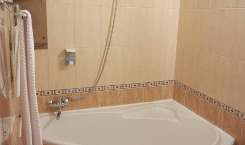 Bistrita House | Pension Saphir