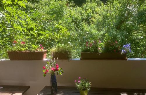 Passau House | Pension Zur Freiheit
