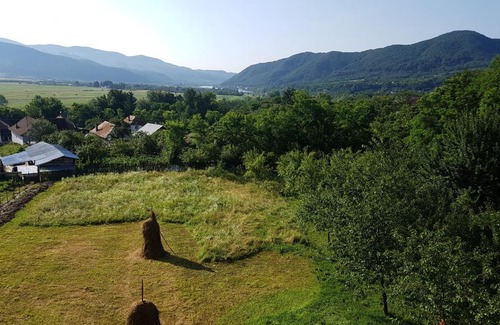 Calimanesti Apartment | Pensiunea Adeluta Apartament
