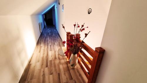 Sucevita House | Pensiunea Mariana