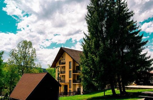 Vatra Dornei House | Pensiunea Vanatorul
