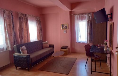 Cluj-Napoca House | Pensiunea Vila Dana