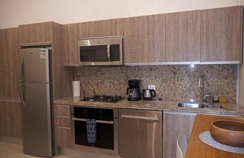 Emiliano Zapata Apartment | Penthouse Studio 2 blocks from Los Muertos beach