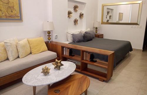 Emiliano Zapata Apartment | Penthouse Studio 2 blocks from Los Muertos beach