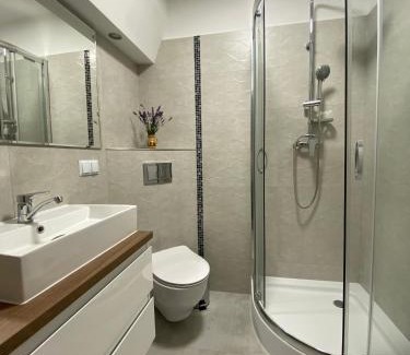 Zamosc Apartment | Peowiaków Guest Apartment