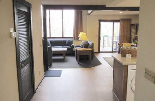 Massanutten Condo | Perfect Christmas Family Getaway! Private sauna in unit!