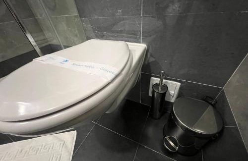 Iasi Apartment | Perfect Host Palas Studio Central
