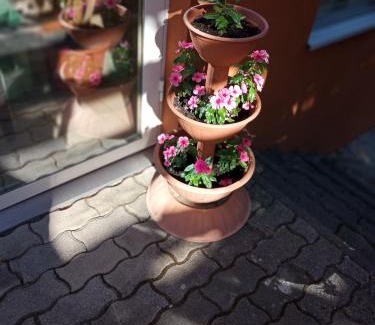 Balatonfoldvar House | Pergola Panzió