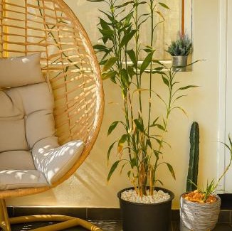 Saint-Leu Apartment | Perle d'Océan