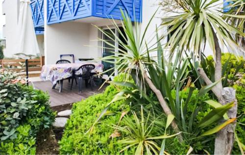 Lacanau-Ocean Apartment | Pet-Friendly Apartment In Lacanau