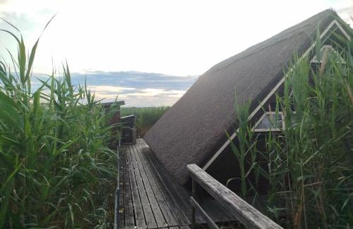 Rust House | Pfahlbau Sunset I Toplage Elektroboot inklusive