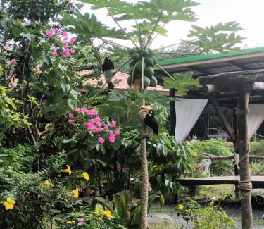 Ko Phaluai Other | PhaluayCamping