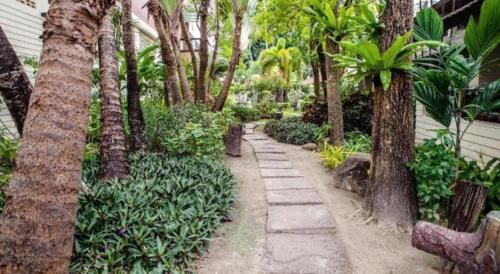 Ko Phi Phi Hotel | Phi Phi Banyan Villa