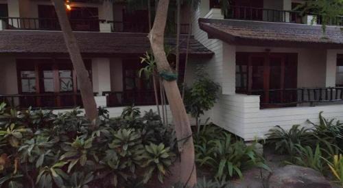 Ko Phi Phi Hotel | Phi Phi Banyan Villa