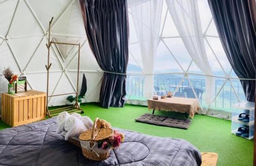 Tap Tao Hotel | Phuchifa Sky Camp ร้อยรักภูชี้ฟ้า