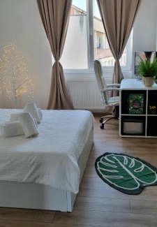 Old City Apartment | Piatra Craiului Cozy Flat