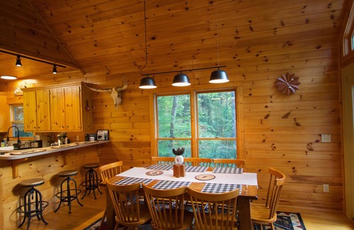 Ferguson Cabin | Play Hard, Rest Easy! Rustic Cabin w/Game Room, Hot Tub & Trails