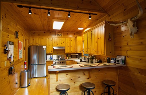 Ferguson Cabin | Play Hard, Rest Easy! Rustic Cabin w/Game Room, Hot Tub & Trails