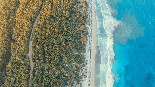 Zona Hotelera Other | Playa Lakin-ha beachfront cabins