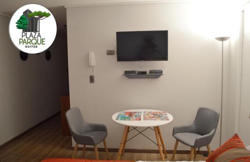 Concepcion Apartment | Plaza Parque Suites 1009
