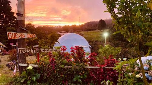 Poasito Cabin | Poas Volcano Observatory Lodge & Glamping