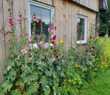 Ladek-Zdroj Ski Chalet | Pod Górką