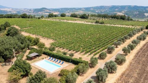 Orvieto Villa | Podere Firenzuola