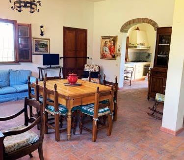 Castelfiorentino House | Podere la Vigna - Piscina e barbecue