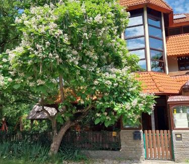 Gyenesdias Apartment | Porkoláb Apartmanház
