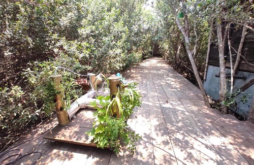 Mazunte Cabin | Posada Corazon Mazunte - Natural Vibe Satori