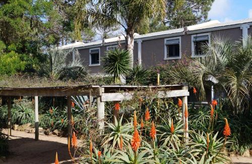 La Paloma Apartment | Posada del Corumbá
