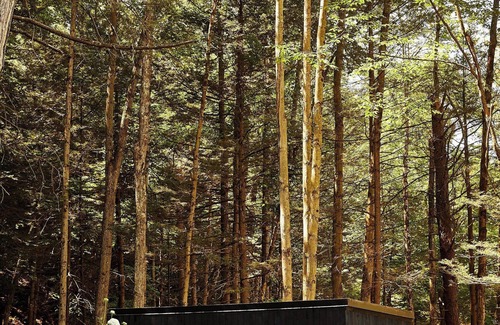 Catskill Cabin | Postcard Cabins Eastern Catskills, Outdoor Collection by Marriott Bonvoy