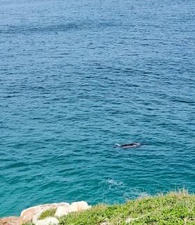 Arraial do Cabo Hotel | Pousada Canto da Baleia