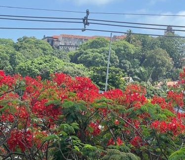 Olinda Hotel | Pousada do Leo