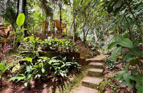 Trindade Hotel | Pousada do Riacho Trindade