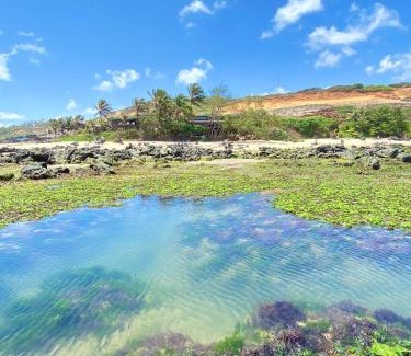 Pipa Hotel | Pousada Paraíso das Tartarugas