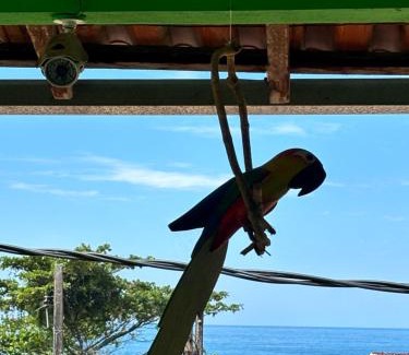 Trindade Hotel | Pouso da Celeste - Trindade