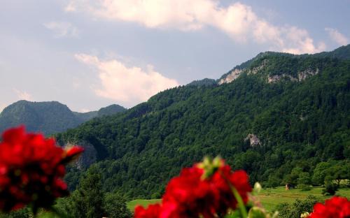 Bohinjska Bela House | Pr Bevc