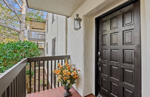 Toro Canyon Condo | Prancing Pony on the Polo Fields! Gorgeous sights