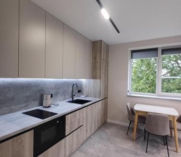 Chernovtsy Apartment | Premium Apartments A&S