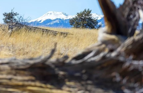 Hartsel RV Rental | Primitive bring your own tent hammock or camper