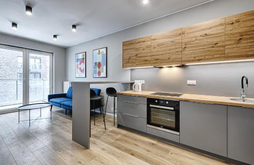 Srodmiescie Apartment | Primo III by LookAp Centrum Dworzec Fabryczny FV